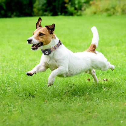 4G Dog GPS Tracker Smart Collar for Pets Dogs Cats No monthly fee No subscription No Hidden Fees Anti-Lost Alarm | Welvett