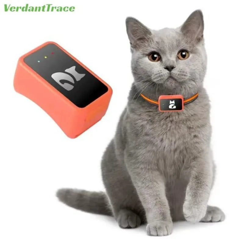 VerdantTrace Small Pet GPS Tracker 4G Tracker Collar Anti-Lost Real Time Dog Ca Tracking Long Battery Life | Welvett
